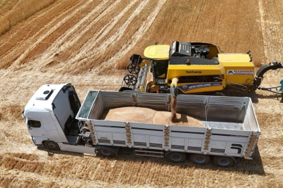 Arpa fiyatlarında artış sürüyor!