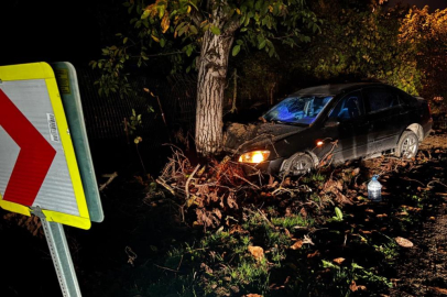 Kontrolden çıkan otomobil ağaca çarptı: 3 kişi yaralandı