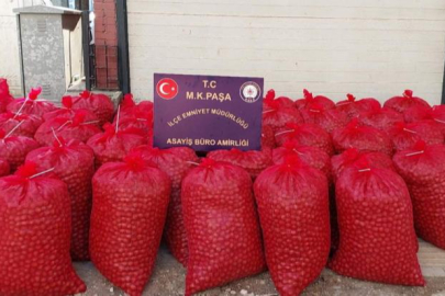 Bursa'da hırsızlar 46 çuval ceviz ile yakalandı