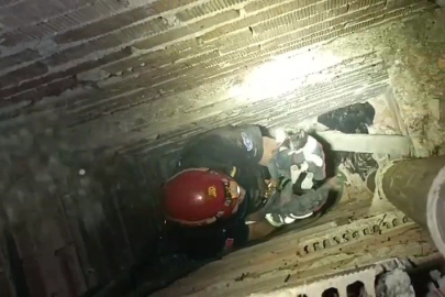 Bursa'da kedi kurtarma operasyonu!