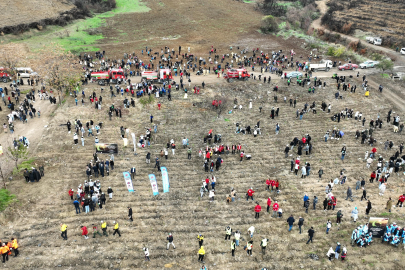 Gürsu tek yürek oldu, binlerce fidan toprakla buluştu!