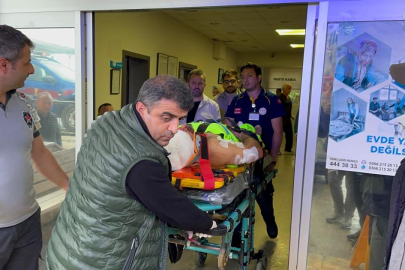 Mantar toplarken ayı saldırısına uğrada!