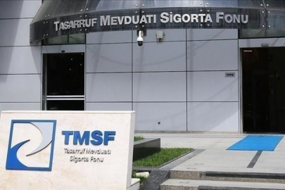 20 şirkete TMSF kayyum olarak atandı