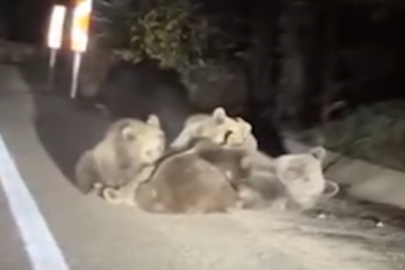 Bursa'da yürek ısıtan görüntüler