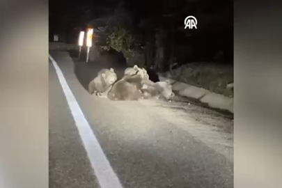 Bursa'da yürek ısıtan görüntüler