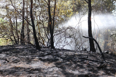 Hatay'da çıkan orman yangını kontrol altına alındı