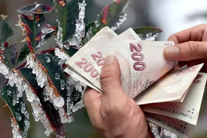Zirai dondan etkilenen çiftçiye 798 milyon TL daha destek