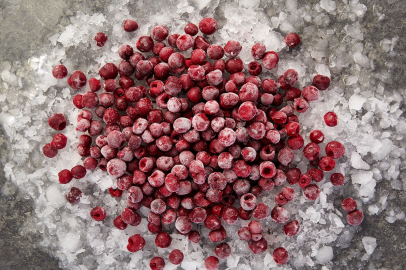 Dondurulmuş kirazda dünya lideriyiz!