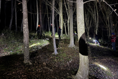 Bursa'da mantar toplamak için gittiği ormanlık alanda kayboldu!