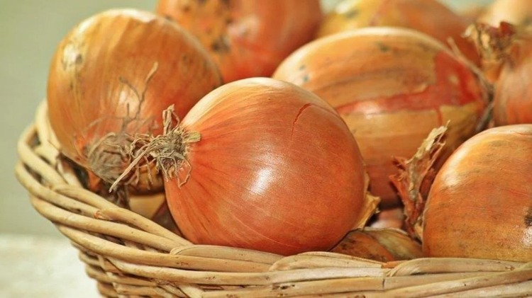 4. Soğan
