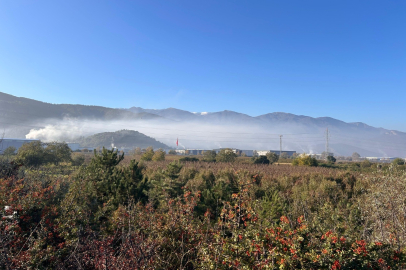 Kestel ve Gürsu'da çevre faciası!