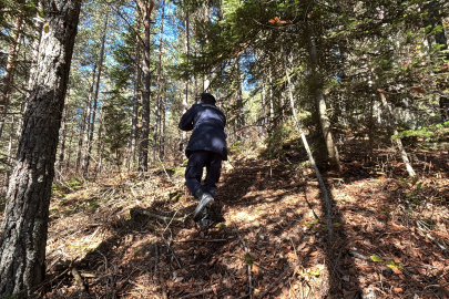 Ormanda kaybolan 88 yaşındaki adamdan acı haber!