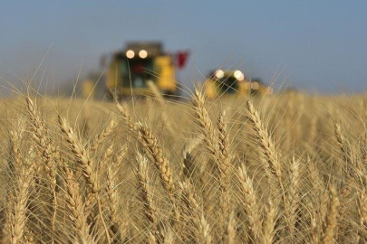 Tarım ÜFE ekimde aylık bazda yüzde 4 arttı