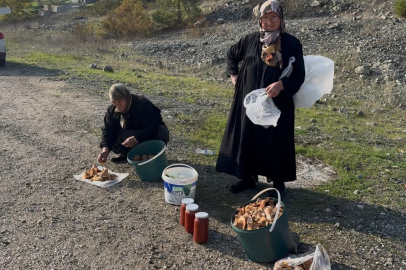 Bursa'da mantar sezonu devam ediyor: İki yaşlı kadın gençlere taş çıkardı