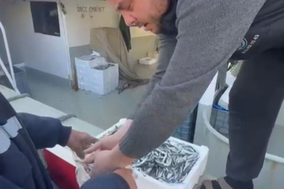 Bursa'daki hamsi fiyatı Balıkesir'i karıştırdı!