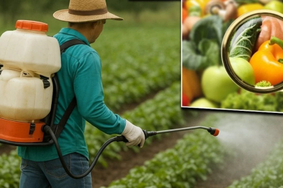 4 kişilik ailenin ölümünün ardından yeni tedbirler: Zirai ilaçlara 'reçete' şartı getirildi