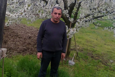 Budadığı ağaçtan düşen adam hayatını kaybetti