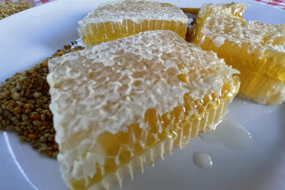 Listede 3 Bursa lezzeti var: Türkiye’nin AB tescilli coğrafi işaret sayısı 43’e yükseldi!