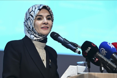 Kadına Yönelik Şiddetle Mücadele V. Ulusal Eylem Planı 25 Kasım'da açıklanacak