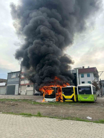 Park halindeki otobüsler cayır cayır yandı