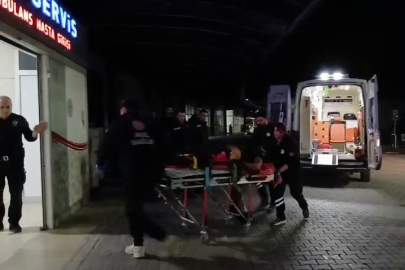 Gemlik’te zeytinlikte bıçaklı saldırı: 1 ağır yaralı