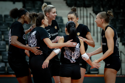 Eczacıbaşı Dynavit, Şampiyonlar Ligi sahnesinde