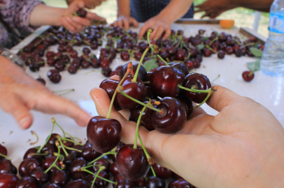 Bursa'da okullarda "Coğrafi İşaret Günü" kutlanacak