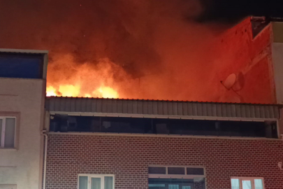 Bursa'da yangın paniği: Geceyi alevler aydınlattı!