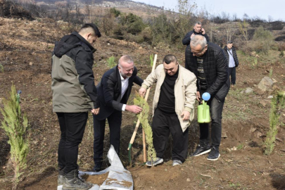 Karacabey’de yangın sonrası ilk fidanlar toprakla buluştu