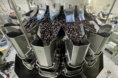 Marmarabirlik zeytinyağı tüketimini "promosyon" ile artırmayı hedefliyor