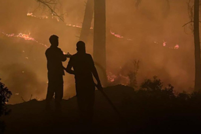 Adana'da orman yangını çıkaran sanığın en az 10 yıl hapsi istendi