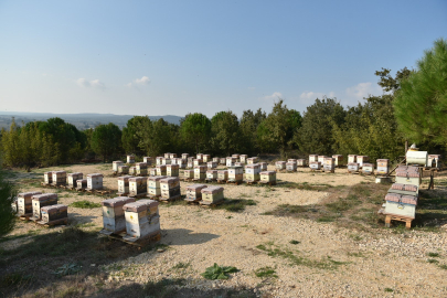 Coğrafi işaret aldıktan sonra taklitleri 10 kat arttı