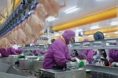 Son beş yılın üretim ve tüketim şampiyonu belli oldu!