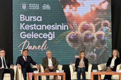 Bursa kestanesinin geleceği konuşuldu