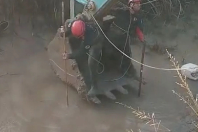 Adana'da gölete düşen çocuk boğuldu