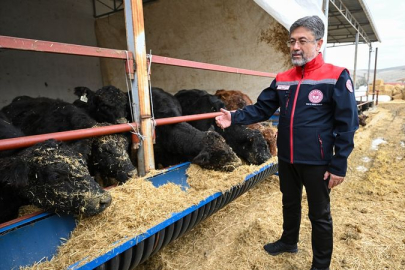 Kırmızı et üretimini artıracak projede hayvan teslimleri başladı