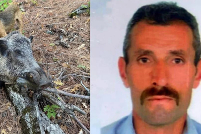 Domuz saldırısına uğrayan avcı öldü