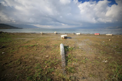 Marmara'nın can damarı kuruyor!