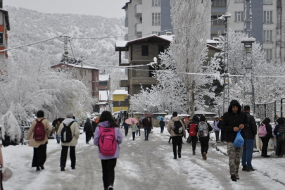 Bitlis'te eğitime kar engeli