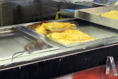 İzmir'de mide bulandıran görüntü: Börek tezgahında fare!