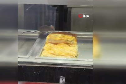 İzmir'den iğrenç görüntü: Börek tezgahlarında fare cirit attı