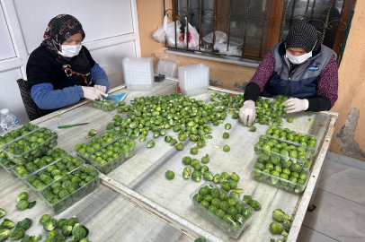 İznik'ten dünyaya açılıyor!