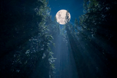 21 Aralık En Uzun Gece Nedir? 21 Aralık’ta Ne Olur, Neden En Uzun Gece Yaşanır?