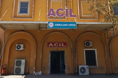 Mardin'de tırın çarptığı yaşlı kadın hayatını kaybetti