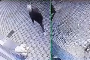 Bursa'da ilginç hırsızlık!