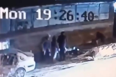 Bursa'da başıboş köpek dehşeti 3 kişi yaralandı