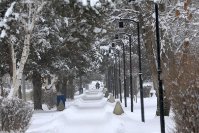 Türkiye'nin en soğuk yeri eksi 30,3 dereceyle Erzurum oldu