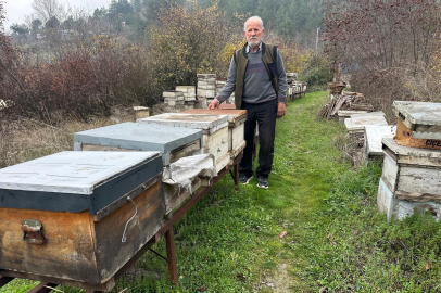 Bursa’da arı katliamı: Milyonlarca arı zirai ilaçlar yüzünden telef oldu