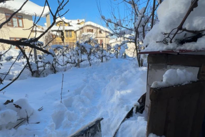 80 yaşındaki kadın donarak hayatını kaybetti