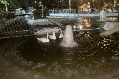 Ankara'da sıcaklık eksi 11 dereceye düştü